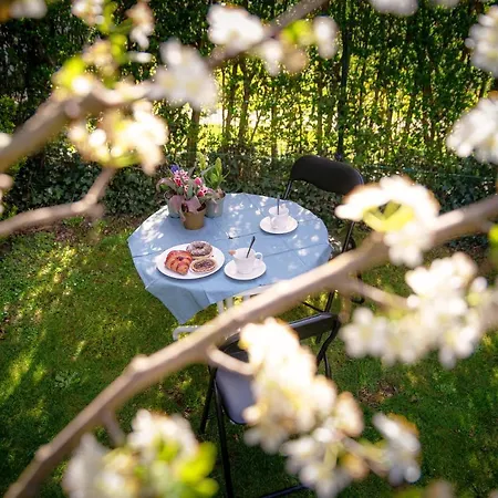 Apartment My Sweet Garden - By Myhomeincomo *